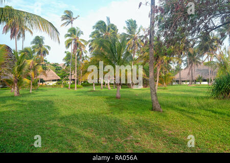 Vue de Zanzibar palms et meadow - Tropical Island - océan Indien - Afrique du Sud Banque D'Images