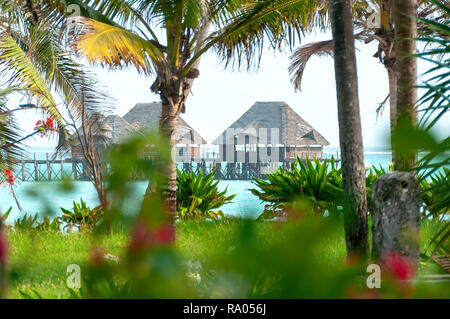 Vue de Zanzibar palms et meadow - Tropical Island - océan Indien - Afrique du Sud Banque D'Images