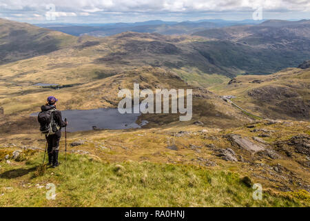 Female hiker à est vers Pen-y-Pass et Llyn, Cwmffynnon sur les pentes inférieures du planeur Fawr, dans le parc national de Snowdonia, le Pays de Galles. Banque D'Images