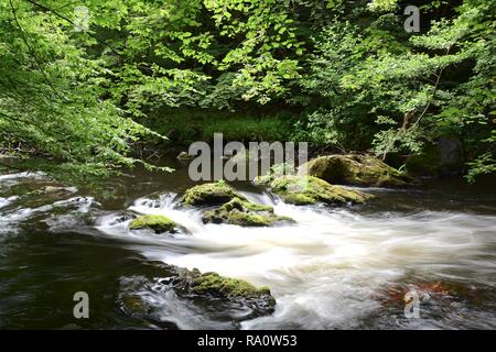 La rivière Bode près de Thale dans le Harz Banque D'Images