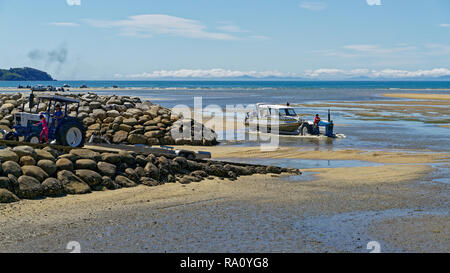 Taxi de l'eau avec les voyageurs pouvant être remorqué jusqu'à la base par un tracteur, Marahau, passerelle vers l'Abel Tasman National Park, New Zealand Banque D'Images