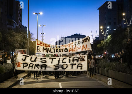 Barcelone, Catalogne, Espagne. Dec 29, 2018. La bannière avec le slogan principal de 'justice' est vu pour Sota pendant la manifestation.troisième manifestation à Barcelone pour la mort du chien Sota. Le chien était administré par un sans-abri et ils étaient tous deux à la suite d'un programme d'insertion sociale. Selon la version policière, le mandataire a agi en légitime défense après avoir été attaqué par l'animal qui a défendu son propriétaire qui était détenu par la force. Credit : Paco Freire SOPA/Images/ZUMA/Alamy Fil Live News Banque D'Images