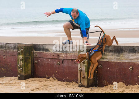 Bournemouth, Dorset, UK. Le 30 décembre 2018. Les participants prennent part à la plage de la race, de la race la marée, une plage à marée basse le long de la magnifique côte de la plage de Bournemouth vers la plage de Sandbanks. Porteur exécuter le 5k ou 10k race le long du littoral et sur les épis avant la marée monte - bon exercice après les excès de Noël ! Credit : Carolyn Jenkins/Alamy Live News Banque D'Images