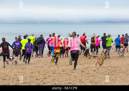 Bournemouth, Dorset, UK. Le 30 décembre 2018. Les participants prennent part à la plage de la race, de la race la marée, une plage à marée basse le long de la magnifique côte de la plage de Bournemouth vers la plage de Sandbanks. Porteur exécuter le 5k ou 10k race le long du littoral et sur les épis avant la marée monte - bon exercice après les excès de Noël ! Credit : Carolyn Jenkins/Alamy Live News Banque D'Images