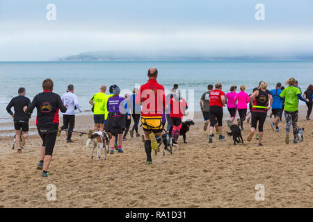 Bournemouth, Dorset, UK. Le 30 décembre 2018. Les participants prennent part à la plage de la race, de la race la marée, une plage à marée basse le long de la magnifique côte de la plage de Bournemouth vers la plage de Sandbanks. Porteur exécuter le 5k ou 10k race le long du littoral et sur les épis avant la marée monte - bon exercice après les excès de Noël ! Credit : Carolyn Jenkins/Alamy Live News Banque D'Images