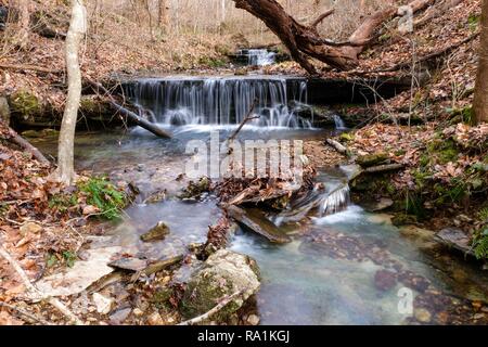 Une série de petites chutes d'eau dans la forêt à Houston, Texas. Banque D'Images