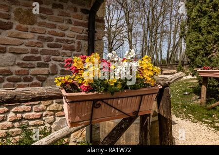 Vase jardinière suspendue à un mur avec du rouge, blanc et jaune fleurs Banque D'Images