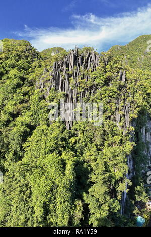 Les aiguilles de calcaire qui dépasse de la végétation luxuriante de forêt tropicale couvrant le karst relief du Taraw falaise surplombant la ville d'El Nido, vu de la ca Banque D'Images