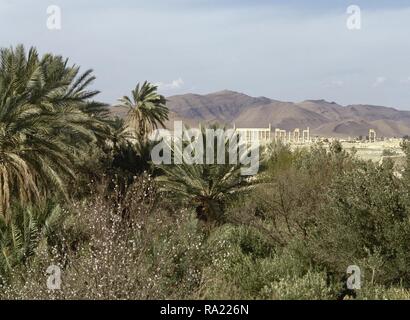 La Syrie. L'oasis de Palmyre. Palm Grove et les ruines de la ville romaine. Photo prise avant la guerre civile syrienne. Banque D'Images