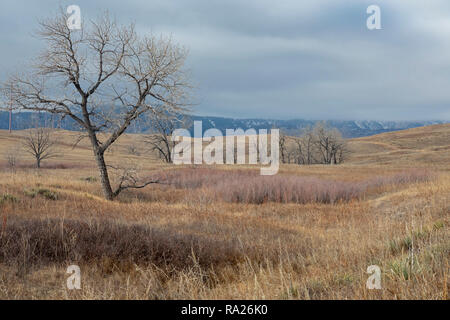 Denver, Colorado - Rocky Flats National Wildlife Refuge,. Le refuge fut autrefois le site d'une usine d'armes nucléaires qui a été largement pollué wi Banque D'Images