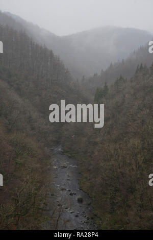 Vue sur la forêt par le Pont du Diable Falls (Pontarfynach) près d'Aberystwyth, Ceredigion, pays de Galles, Royaume-Uni Banque D'Images