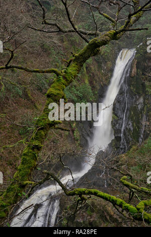 Vue sur le Pont du Diable Falls (Pontarfynach), lieu de la Téléfilm thriller, arrière-pays, près d'Aberystwyth, Ceredigion, pays de Galles, Royaume-Uni Banque D'Images