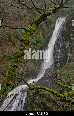 Vue sur le Pont du Diable Falls (Pontarfynach), lieu de la Téléfilm thriller, arrière-pays, près d'Aberystwyth, Ceredigion, pays de Galles, Royaume-Uni Banque D'Images