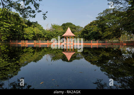 Water reflections à Taman Tasik, à Taiping, Perak, Malaisie - une charmante vue sur le lac Taiping Jardin, Perak, Malaisie. Banque D'Images