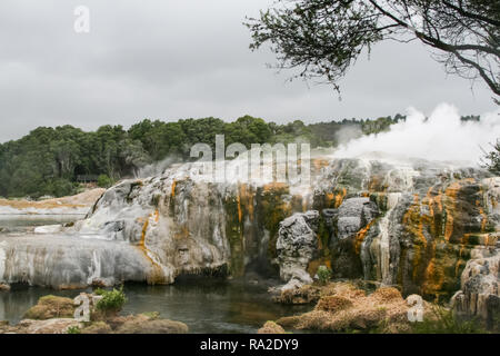 Rivière de montagne en Nouvelle-Zélande. Paysages de Nouvelle-Zélande Banque D'Images