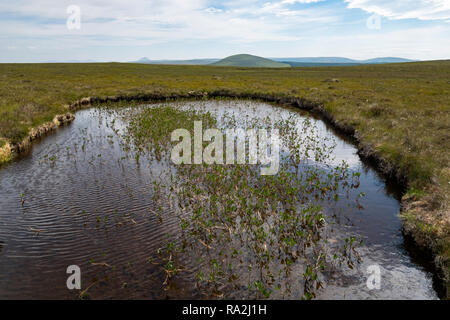 La plus grande tourbière de couverture et de tourbières en Europe des flux de Forsinard Réserve naturelle dans les Highlands du nord de l'Ecosse Banque D'Images