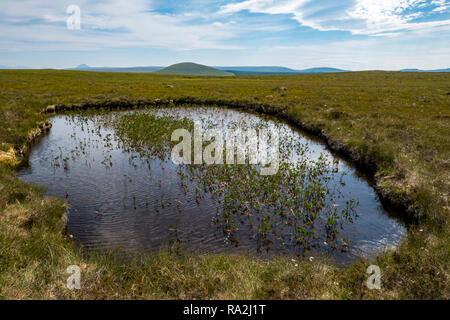 La plus grande tourbière de couverture et de tourbières en Europe des flux de Forsinard Réserve naturelle dans les Highlands du nord de l'Ecosse Banque D'Images