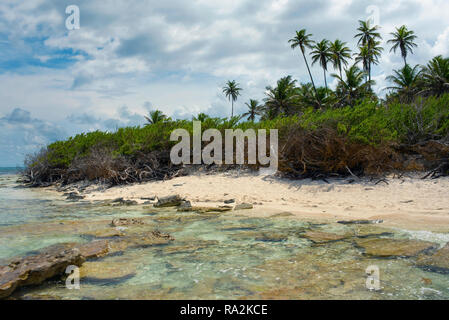 Plage des Caraïbes avec des pierres, sable et palmiers. Johnny Cay, l'île de San Andrés, Colombie. Oct 2018 Banque D'Images