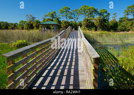 Promenade, zone naturelle des eaux sinueuses, West Palm Beach, Floride Banque D'Images