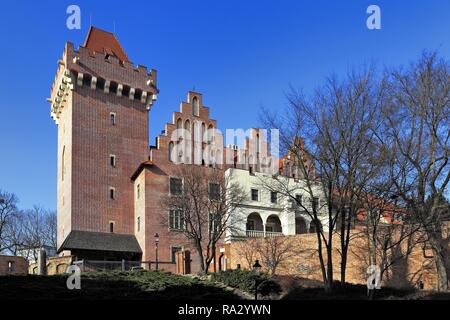Polska , , , Poznan Wielkopolska Stare Miasto , Zamek Krolewski Przemysla II Pologne Poznan , Pologne , Grand , Vieille ville , Château Royal de Przemysl II Banque D'Images
