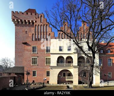 Polska , , , Poznan Wielkopolska Stare Miasto , Zamek Krolewski Przemysla II Pologne Poznan , Pologne , Grand , Vieille ville , Château Royal de Przemysl II Banque D'Images