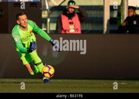 Robin Patrick Olsen (Roma) au cours de l'Italien 'Serie' un match entre Parme 0-2 Roma au stade Ennio Tardini, le 29 décembre 2018 à Parme (Italie). Credit : Maurizio Borsari/AFLO/Alamy Live News Banque D'Images