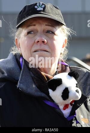 (190101) -- BEIJING, 1 janvier 2019 (Xinhua) -- File photo prise le 4 février 2010 montre une dame d'envoyer grand panda Tai Shan à l'aéroport International Washington Dulles à Dulles, en Virginie, à l'extérieur de Washington. DC, capitale des États-Unis, le 4 février 2010, comme les quatre- et demi ans grand panda flied directement à Chengdu, dans le sud-ouest de la Chine. Il y a 40 ans, Pékin et Washington a officiellement établi des relations diplomatiques, mettant ainsi fin à près de trois décennies d'isolement, l'hostilité et même la confrontation entre deux grands pays avec une population totale de plus de 1 milliards de dollars, et Banque D'Images