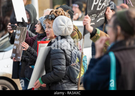 Stow On The Wold, UK. 06Th Jan, 2019. Stow-on-the-Wold, Gloucestershire. UK. 01/01/19 La chasse au phoque annuelle le jour de l'an dans Stow-On The-Wold à répondre. Front Line protester contre une augmentation marquée de spectateurs et adeptes de cette année. Credit : Crédit : Desmond J Brambley Desmond Brambley/Alamy Live News Banque D'Images