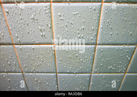 Gouttes d'eau sur le mur de carreaux de céramique dans la salle de bains sélectionner focus avec une faible profondeur de champ. Banque D'Images