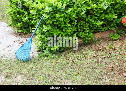 Plastique balai bleu dans un jardin Banque D'Images