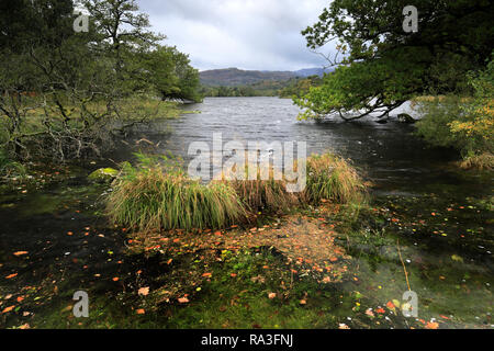 Vue d'automne sur Rydal Water, Parc National de Lake District, Cumbria, England, UK Banque D'Images