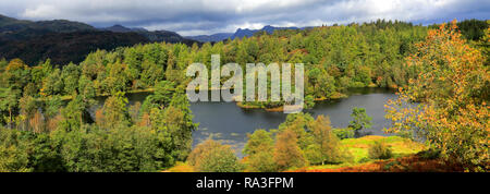 Vue d'automne sur Tarn Hows, Parc National de Lake District, Cumbria, England, UK Banque D'Images