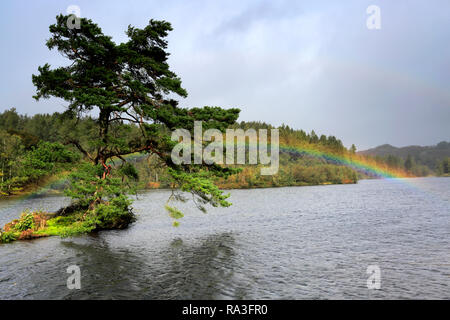 Vue d'automne sur Tarn Hows, Parc National de Lake District, Cumbria, England, UK Banque D'Images