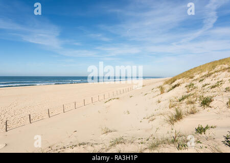 Arcachon (France), la plage de lege - Cap Ferret Banque D'Images