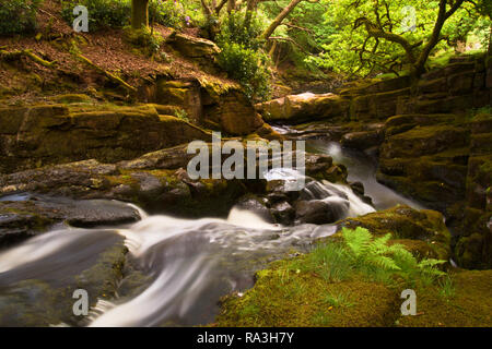 Eau courante de la rivière Avon prise à Shipley Bride au printemps/été; parc national de Dartmoor; Devon; Royaume-Uni - longue exposition Banque D'Images