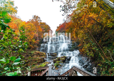Cascade pittoresque vue dans Amicalola State Park, Georgia, United States. L'eau s'écoule d'entre les grands arbres de l'automne. Banque D'Images
