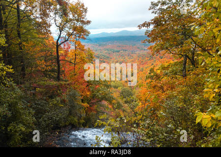 Cascade pittoresque vue dans Amicalola State Park, Georgia, United States. L'eau s'écoule d'entre les grands arbres de l'automne. Banque D'Images