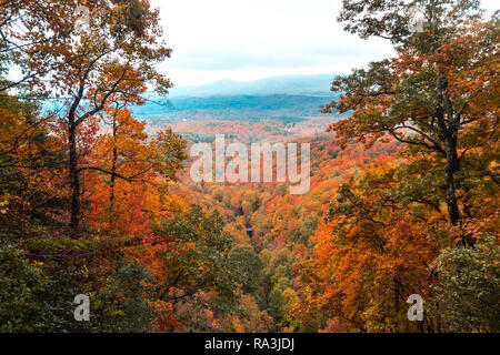Cascade pittoresque vue dans Amicalola State Park, Georgia, United States. L'eau s'écoule d'entre les grands arbres de l'automne. Banque D'Images