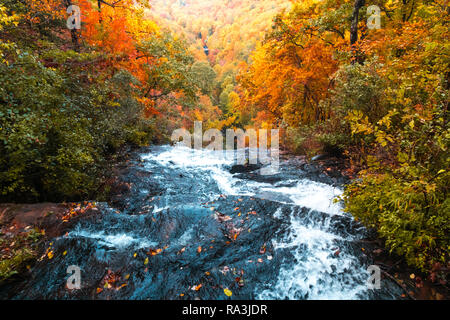 Cascade pittoresque vue dans Amicalola State Park, Georgia, United States. L'eau s'écoule d'entre les grands arbres de l'automne. Banque D'Images