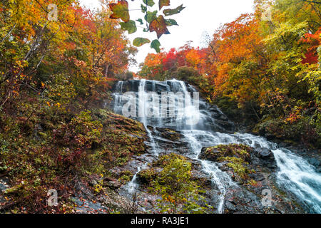 Cascade pittoresque vue dans Amicalola State Park, Georgia, United States. L'eau s'écoule d'entre les grands arbres de l'automne. Banque D'Images