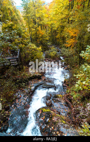 Cascade pittoresque vue dans Amicalola State Park, Georgia, United States. L'eau s'écoule d'entre les grands arbres de l'automne. Banque D'Images