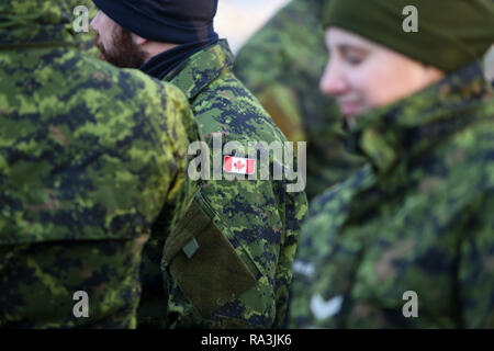 Bucarest, Roumanie - 1 décembre 2018 Détails : avec l'uniforme et le drapeau des soldats canadiens qui prennent part à la parade militaire de la fête nationale roumaine Banque D'Images