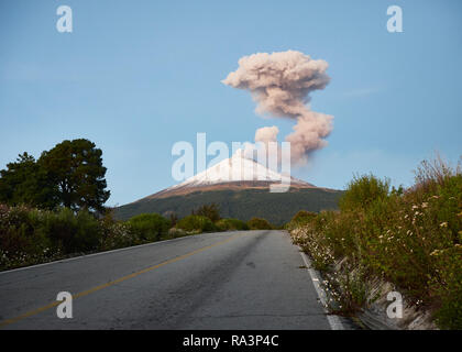 Les fumerolles sur le volcan Popocatepetl vu de la rue Ruta de Evacuación au matin Banque D'Images