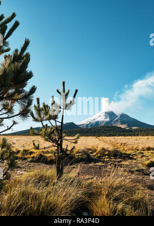 De la fumée sort du volcan Popocatepetl, Izta-Popo Zoquiapan Parc National, Mexique Banque D'Images