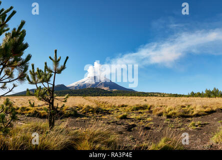 Fumerolle sort du volcan Popocatepetl vu de l'Izta-Popo Zoquiapan National Park Banque D'Images