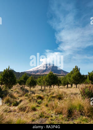 De la fumée sort du volcan Popocatepetl vu du Parc National Itza-Popo, Mexique Banque D'Images