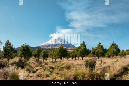 Nuage de fumée sort du volcan Popocatepetl vu de l'Izta-Popo Zoquiapan National Park Banque D'Images