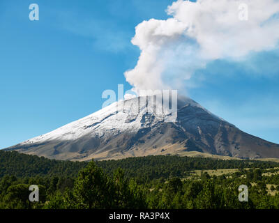 Fumerolle s'échappe du cratère volcan Popocatepetl vu du Parc National Itza-Popo, Mexique Banque D'Images