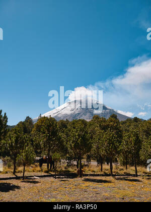 Volcan Popocatepetl avec fumerolle sort vu du Parc National Itza-Popo, Mexique Banque D'Images