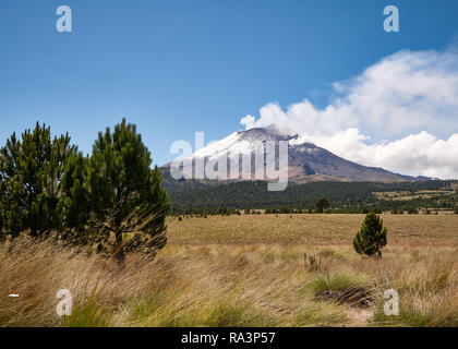 De la fumée sort du volcan Popocatepetl enneigé vu du Izta-Popo Zoquiapan Parc National, Mexique Banque D'Images